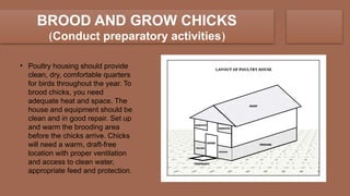 Comprehensive Guide to Poultry Chicken Production NCII: Housing ...