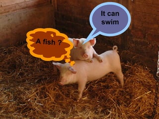 It can swim A fish ? 