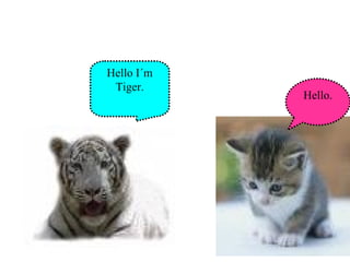 Hello I´m Tiger. Hello. 