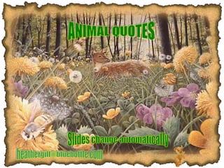 ANIMAL QUOTES [email_address] Slides change automatically 