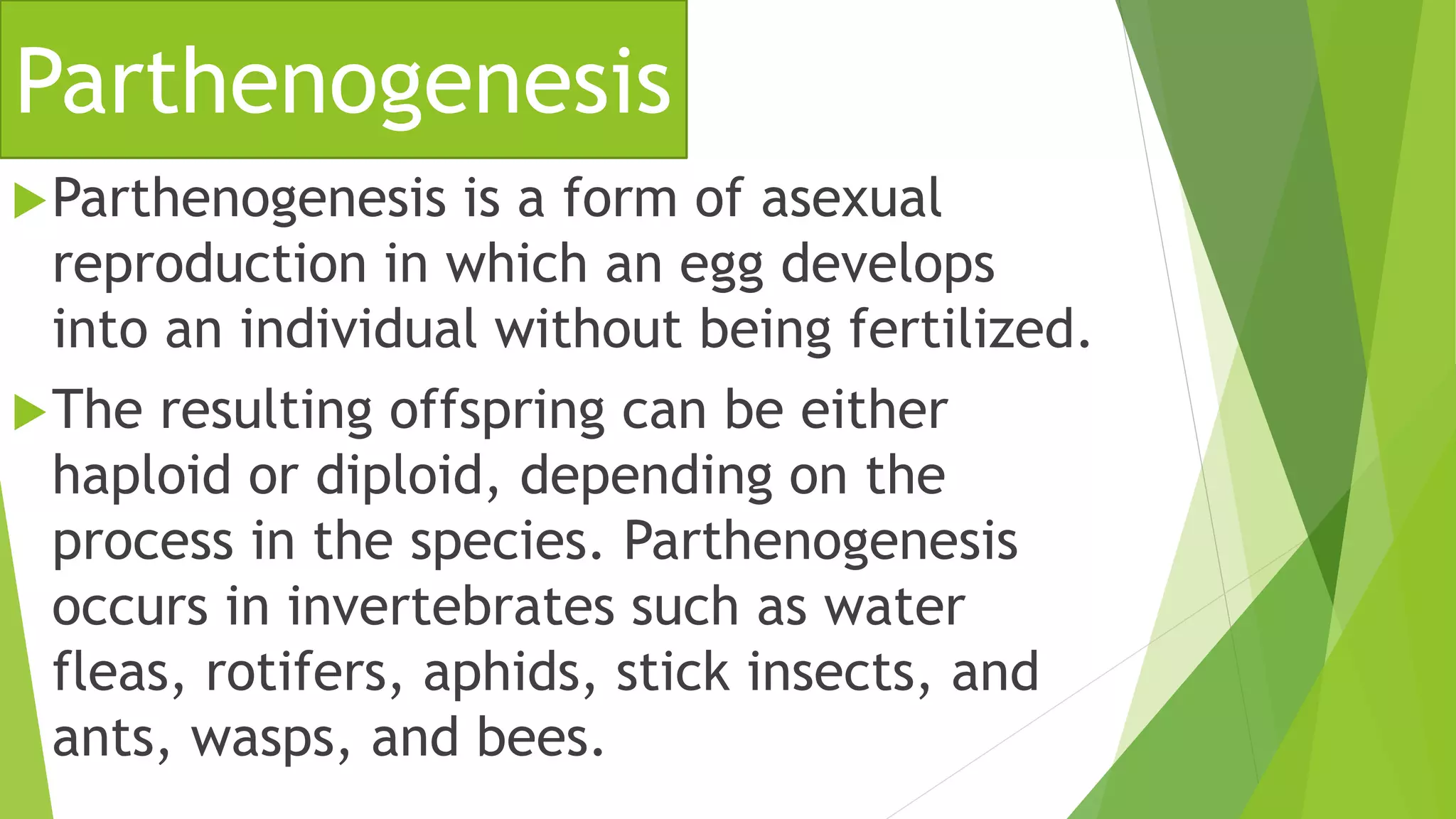 ANIMAL-REPRODUCTION.pptx