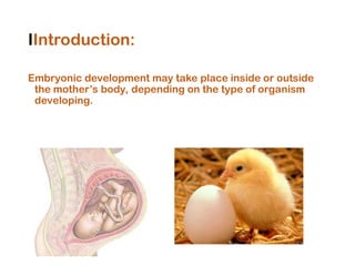 Comprehensive Overview of Reproduction and Embryonic Development | PPT