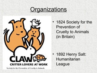 Organizations 1824  Society  for the Prevention of Cruelty to Animals (in Britain) 1892 Henry Salt: Humanitarian League 
