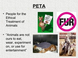 PETA People for the Ethical Treatment of Animals ” Animals are not ours to eat, wear, experiment on, or use for entertainment” 