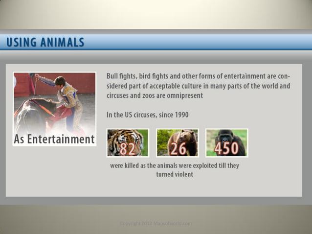 Should Animals Have Rights? - Facts, Stats & Infographic | PDF