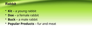 ANIMAL-SCIENCE-WEEK-2 terminologies in animal science | PPTX