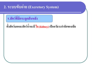 2. ระบบขับถ่าย (Excretory System) 
ทั้งสัตว์บกและสัตว์น้าจะมี ไต (kidney) เป็นอวัยวะกาจัดของเสีย 
1.สัตว์ที่มีกระดูกสันหลัง  