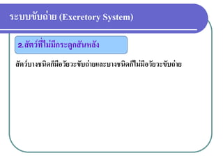 ระบบขับถ่าย (Excretory System) 
สัตว์บางชนิดก็มีอวัยวะขับถ่ายและบางชนิดก็ไม่มีอวัยวะขับถ่าย 
2.สัตว์ที่ไม่มีกระดูกสันหลัง  