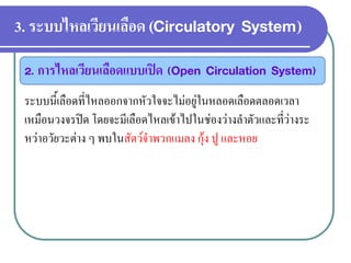3. ระบบไหลเวียนเลือด (Circulatory System) 
2. การไหลเวียนเลือดแบบเปิด (Open Circulation System) 
ระบบนี้เลือดที่ไหลออกจากหัวใจจะไม่อยู่ในหลอดเลือดตลอดเวลา เหมือนวงจรปิด โดยจะมีเลือดไหลเข้าไปในช่องว่างลาตัวและที่ว่างระ หว่าอวัยวะต่าง ๆ พบในสัตว์จาพวกแมลง กุ้ง ปู และหอย  
