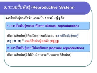5. ระบบสืบพันธุ์ (Reproductive System) 
การสืบพันธุ์ของสัตว์แบ่งออกเป็น 2 พวกใหญ่ ๆ คือ 
1. การสืบพันธุ์แบบอาศัยเพศ (Sexual reproduction) 
เป็นการสืบพันธุ์ที่ต้องมีการผสมกันระหว่างเซลล์สืบพันธุ์เพศผู้ (sperm) กับเซลล์สืบพันธุ์เพศเมีย (egg) 
2. การสืบพันธุ์แบบไม่อาศัยเพศ (asexual reproduction) 
เป็นการสืบพันธุ์ที่ไม่ต้องมีการรวมกันของเซลล์สืบพันธุ์  