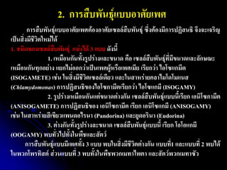 2. การสืบพันธุ์แบบอาศัยเพศ 
การสืบพันธุ์แบบอาศัยเพศต้องอาศัยเซลล์สืบพันธุ์ ซึ่งต้องมีการปฏิสนธิ จึงจะเจริญ เป็นสิ่งมีชีวิตใหม่ได้ 1. ชนิดของเซลล์สืบพันธุ์ แบ่งได้ 3 แบบ ดังนี้ 1. เหมือนกันทั้งรูปร่างและขนาด คือ เซลล์สืบพันธุ์ที่มีขนาดและลักษณะ เหมือนกันทุกอย่าง แยกไม่ออกว่าเป็นเพศผู้หรือเพศเมีย เรียกว่า ไอโซแกมีต (ISOGAMETE) เช่น ในสิ่งมีชีวิตเซลล์เดียว และในสาหร่ายคลาไมโดโมแนส (Chlamydomonas) การปฏิสนธิของไอโซกามีตเรียกว่า ไอโซแกมี (ISOGAMY) 2. รูปร่างเหมือนกันแต่ขนาดต่างกัน เซลล์สืบพันธุ์แบบนี้เรียก เอนิโซกามีต (ANISOGAMETE) การปฏิสนธิของ เอนิโซกามีต เรียก เอนิโซแกมี (ANISOGAMY) เช่น ในสาหร่ายสีเขียวแพนดอไรนา (Pandorina) และยูดอรินา (Eudorina) 3. ต่างกันทั้งรูปร่างละขนาด เซลล์สืบพันธุ์แบบนี้ เรียก โอโอแกมี (OOGAMY) พบทั่วไปทั้งในพืชและสัตว์ การสืบพันธุ์แบบมีเพศทั้ง 3 แบบ พบในสิ่งมีชีวิตต่างกัน แบบที่1 และแบบที่ 2 พบได้ ในพวกโพรทิสต์ ส่วนแบบที่ 3 พบทั้งในพืชพวกเมทาไพตา และสัตว์พวกเมทาซัว  