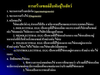 การสร้างเซลล์สืบพันธุ์ในสัตว์ 
1. ขบวนการสร้างสเปอร์ม (spermatogenesis) 
2. ขบวนการสร้างไข่ (Oogenesis) 
3. ชนิดของไข่ ไข่ของสัตว์ต่างๆ จาแนกได้เป็น 4 ชนิด ตามปริมาณและการกระจายของไข่แดง 1. ISOLECITHAL EGG เป็นพวกที่มีไข่แดงน้อย และกระจายทั่วไปภายในเซลล์ เช่น ไข่หอยเม่น ไข่ปลาดาว และไข่สัตว์เลี้ยงลูกด้วยนม 2. MESOLECITHAL EGG เป็นพวกที่มีไข่แดงปานกลาง และไข่แดงมักจะอยู่ หนาแน่นที่ขั้วใดขั้วหนึ่งของเซลล์ ตัวอย่างเช่น ไข่กบ 3. TELOLECITHAL EGG เป็นพวกที่มีไข่แดงมาก และไข่แดงอยู่หนาแน่น ตัวอย่างเช่น ไข่นก ไข่ไก่ ไข่ปลา และไข่ของสัตว์เลื้อยคลาน 4.CENTROLLECITHAL EGG เป็นพวกที่มีไข่แดงอยู่ตรงกลาง ตัวอย่าง เช่น ไข่ แมลง 
4. อิทธิพลของไข่แดง 1. ขัดขวางการแบ่งเซลล์ของไข่ จากการศึกษาพบว่า บริเวณที่มีไข่แดงน้อย จะมีการแบ่งเซลล์และมีการเคลื่อนที่ของเซลล์มากกว่าบริเวณที่มีไข่แดงมาก 2. ไข่แดงเป็นอาหารของตัวอ่อน  