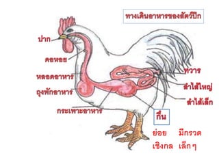 ย่อย เชิงกล 
มีกรวด เล็กๆ  