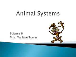 Animal Systems Science 6 Mrs. Marlene Torres 