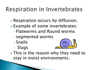 The same situation occurs inside of the body around the cells.Respiration in Invertebrates