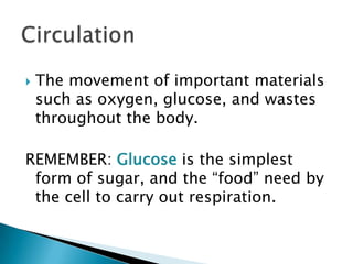 CirculationThe movement of important materials such as oxygen, glucose, and wastes throughout the body.REMEMBER: Glucose is the simplest form of sugar, and the “food” need by the cell to carry out respiration.