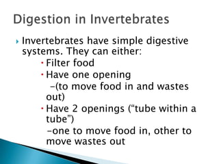 Invertebrates have simple digestive systems. They can either:Filter foodHave one opening    -(to move food in and wastes out)Have 2 openings (“tube within a tube”)  -one to move food in, other to move wastes outDigestion in Invertebrates