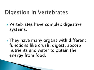 Digestion in VertebratesVertebrates have complex digestive systems.They have many organs with different functions like crush, digest, absorb nutrients and water to obtain the energy from food.