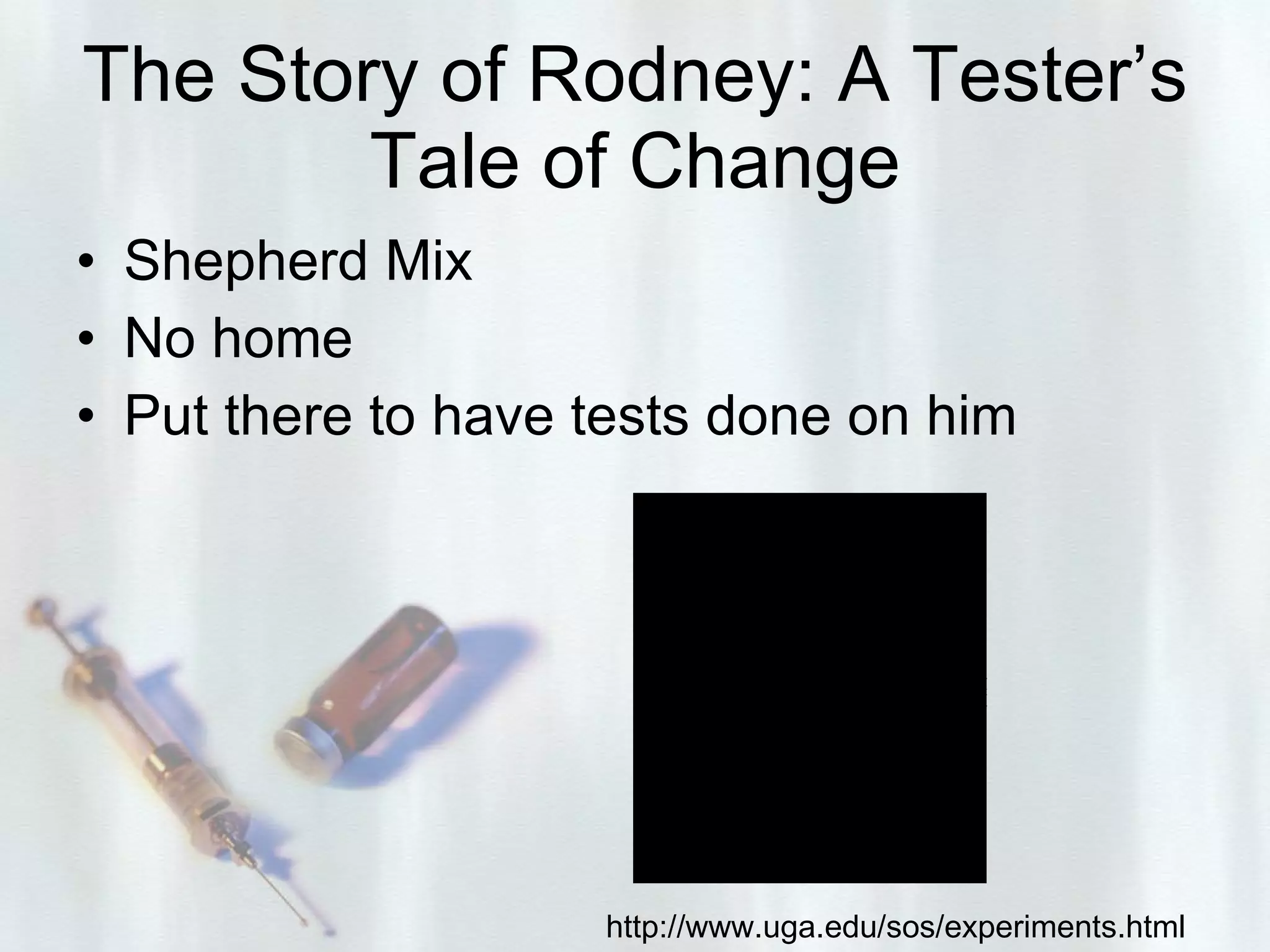 The Story of Rodney: A Tester’s Tale of Change Shepherd Mix  No home Put there to have tests done on him http://www.uga.edu/sos/experiments.html 