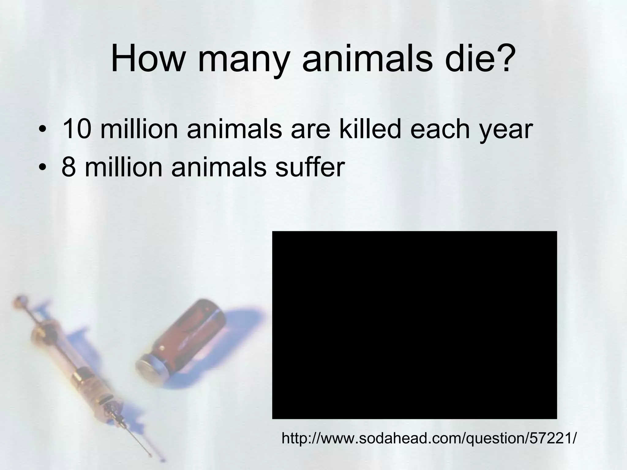 How many animals die? 10 million animals are killed each year 8 million animals suffer http://www.sodahead.com/question/57221/ 