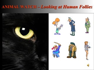 ANIMAL WATCH –  Looking at Human Follies 