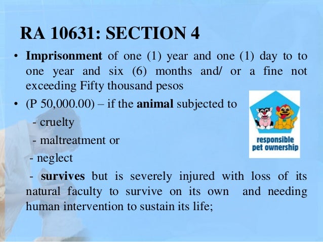 Animal Welfare And Responsible Pet Ownership
