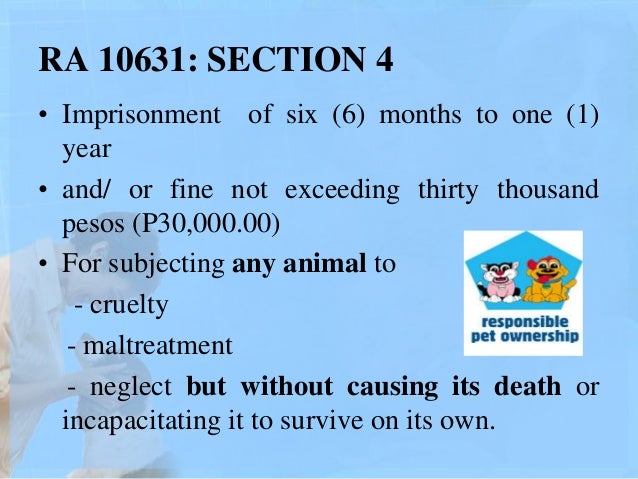 Animal Welfare And Responsible Pet Ownership