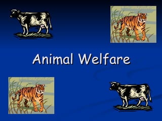 Animal Welfare 
