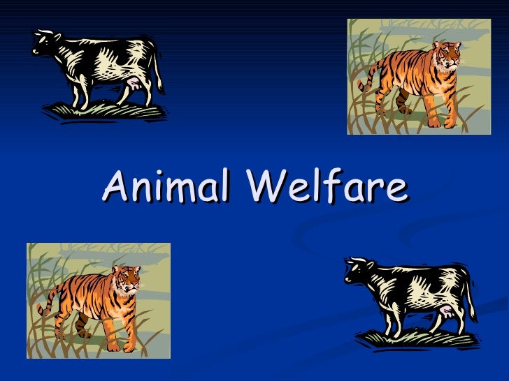 Animal Welfare