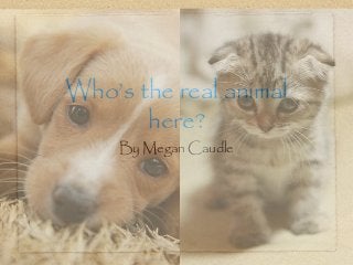 Who’s the real animal
here?
By Megan Caudle
 