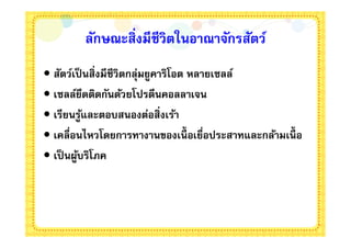 ลักษณะสิงมีชีวิตในอาณาจักรสัตว์
• สัตว์เป็ นสิงมีชีวิตกลุมยูคาริโอต หลายเซลล์
                         ่
• เซลล์ยึดติดกันด้วยโปรตีนคอลลาเจน
• เรียนรูและตอบสนองต่อสิงเร้า
           ้
• เคลือนไหวโดยการทางานของเนือเยือประสาทและกล้ามเนือ
• เป็ นผูบริโภค
         ้
 