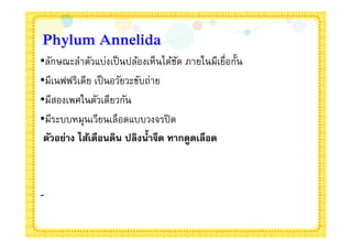 Phylum Annelida
•ลักษณะลําตัวแบ่งเป็ นปล้องเห็นได้ชด ภายในมีเยือกัน
                                   ั
•มีเนฟฟริเดีย เป็ นอวัยวะขับถ่าย
•มีสองเพศในตัวเดียวกัน
•มีระบบหมุนเวียนเลือดแบบวงจรปิ ด
 ตัวอย่าง ไส้เดือนดิน ปลิงนําจืด ทากดูดเลือด



-
 