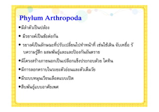 Phylum Arthropoda
•มีลาตัวเป็ นปล้อง
     ํ
• มีรยางค์เป็ นข้อต่อกัน
• รยางค์เป็ นลักษณะทีปรับเปลียนไปทําหน้าที เช่นใช้เดิน จับเหยือ รั
  บความรูสึก ผสมพันธุและและปองกันอันตราย
            ้            ์     ้
•มีโครงสร้างภายนอกเป็ นเปลือกแข็งประกอบด้วย ไคทิน
•มีการลอกคราบในระยะตัวอ่อนและตัวเต็มวัย
•มีระบบหมุนเวียนเลือดแบบเปิ ด
•สืบพันธุแบบอาศัยเพศ
         ์
 