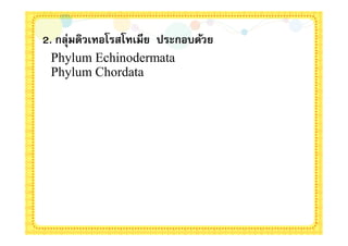 2. กลุ่มดิวเทอโรสโทเมีย ประกอบด้วย
 Phylum Echinodermata
 Phylum Chordata
 