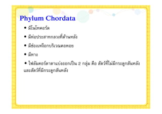 Phylum Chordata
 • มีโนโทคอร์ด
 • มีท่อประสาทกลวงทีด้านหลัง
 • มีช่องเหงือกบริเวณคอหอย
 • มีหาง
 • ไฟลัมคอร์ดาตาแบ่งออกเป็ น 2 กลุ่ม คือ สัตว์ทีไม่มีกระดูกสันหลัง
 และสัตว์ทีมีกระดูกสันหลัง
 