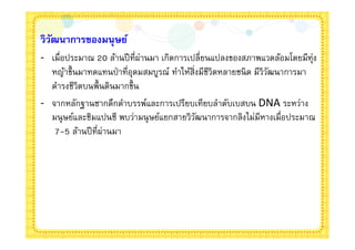 วิวฒนาการของมนุ ษย์
   ั
- เมือประมาณ 20 ล้านปี ทีผ่านมา เกิดการเปลียนแปลงของสภาพแวดล้อมโดยมีทุ่ง
  หญ้าขึนมาทดแทนป่ าทีอุดมสมบูรณ์ ทําให้สิงมีชีวิตหลายชนิ ด มีวิวฒนาการมา
                                                                 ั
  ดํารงชีวิตบนพืนดินมากขึน
- จากหลักฐานซากดึกดําบรรพ์และการเปรียบเทียบลําดับเบสบน DNA ระหว่าง
  มนุ ษย์และชิมแปนซี พบว่ามนุ ษย์แยกสายวิวฒนาการจากลิงไม่มีหางเมือประมาณ
                                          ั
   7-5 ล้านปี ทีผ่านมา
 