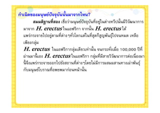 กําเนิดของมนุ ษย์ปัจจุบนนันมาจากไหน?
                       ั
         สมมติฐานทีสอง เชือว่ามนุ ษย์ปัจจุบนทีอยูในต่างทวีปนันมีววฒนาการ
                                           ั     ่               ิั
  มาจาก H. erectus ในแอฟริกา จากนัน H. erectus ได้
  แพร่กระจายไปอยูตามทีต่างๆทัวโลกแต่ในทีสุดก็สญพันธุไปจนหมด เหลือ
                   ่                               ู    ์
  เพียงกลุ่ม
  H. erectus ในแอฟริกากลุ่มเดียวเท่านัน จนกระทังเมือ 100,000 ปี ที
  ผ่านมานี เอง H. erectus ในแอฟริกา กลุ่มทีมีสายวิวฒนาการต่อเนื องมา
                                                          ั
  นี จึงแพร่กระจายออกไปยังสถานทีต่างๆโดยไม่มีการผสมผสานทางเผ่าพันธุ์
  กับมนุ ษย์โบราณทีอพยพมาก่อนหน้านัน
 