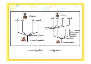 ภาพ สมมติฐานทีหนึ ง   สมมติฐานทีสอง
 