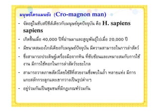 มนุ ษย์โครแมนยัง (Cro-magnon man)
- จัดอยูในซับสปี ชีสเดียวกับมนุ ษย์ยุคปั จจุบน คือ H. sapiens
         ่          ์                        ั
  sapiens
- เกิดขึนเมือ 40,000 ปี ทีผ่านมาและสูญพันธุไปเมือ 20,000 ปี
                                               ์
- มีขนาดสมองใกล้เคียงกับมนุ ษย์ปัจจุบน มีความสามารถในการล่าสัตว์
                                          ั
- ซึงสามารถประดิษฐ์เครืองมือจากหิน ทีซับซ้อนและเหมาะสมกับการใช้
  งาน มีการใช้หอกในการล่าสัตว์ระยะไกล
- สามารถวาดภาพสัตว์โดยใช้สีทีสวยงามซึงพบในถํา หลายแท่ง มีการ
  แกะสลักกระดูกและเขากวางเป็ นรูปต่างๆ
- อยูร่วมกันเป็ นชุมชนทีมีกฎเกณฑ์ร่วมกัน
      ่
 