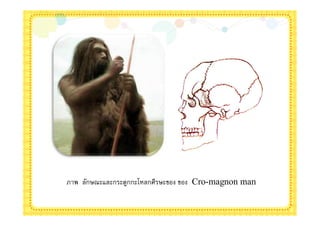 ภาพ ลักษณะและกระดูกกะโหลกศีรษะของ ของ Cro-magnon man
 