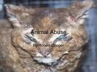 Animal Abuse By Robert Cooper 