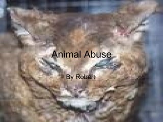 Animal Abuse By Robert  