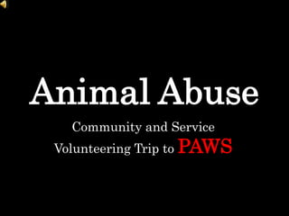 Animal Abuse Community and Service Volunteering Trip to PAWS 