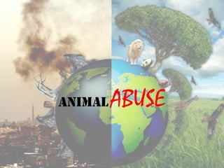 ANIMAL           ABUSE

   ANIMAL ABUSE, TEH INTAN NAZIRA
            2010996209
 