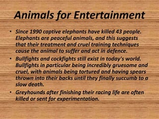Animals for Entertainment
• Since 1990 captive elephants have killed 43 people.
  Elephants are peaceful animals, and this suggests
  that their treatment and cruel training techniques
  cause the animal to suffer and act in defence.
• Bullfights and cockfights still exist in today's world.
  Bullfights in particular being incredibly gruesome and
  cruel, with animals being tortured and having spears
  thrown into their backs until they finally succumb to a
  slow death.
• Greyhounds after finishing their racing life are often
  killed or sent for experimentation.
 