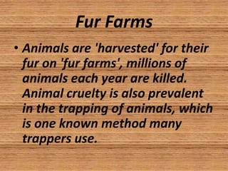 Fur Farms
• Animals are 'harvested' for their
  fur on 'fur farms', millions of
  animals each year are killed.
  Animal cruelty is also prevalent
  in the trapping of animals, which
  is one known method many
  trappers use.
 