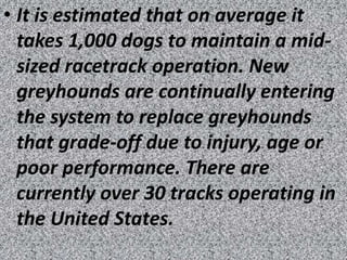 • It is estimated that on average it
  takes 1,000 dogs to maintain a mid-
  sized racetrack operation. New
  greyhounds are continually entering
  the system to replace greyhounds
  that grade-off due to injury, age or
  poor performance. There are
  currently over 30 tracks operating in
  the United States.
 