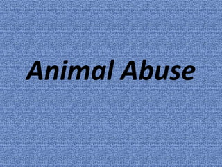 Animal Abuse
 