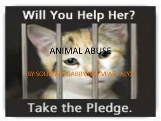 ANIMAL ABUSE
BY:SOLIMAR ,GABBY,JEREMIAH, ALYX
 