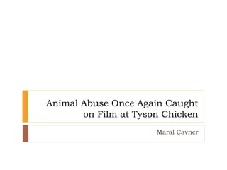 Animal Abuse Once Again Caught
on Film at Tyson Chicken
Maral Cavner
 